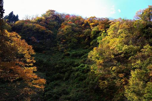 25年　新潟紅葉 綺麗,風景,景色の写真素材