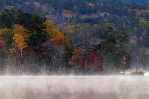 オンネトーの紅葉 オンネトーの紅葉,オンネトー,紅葉の写真素材