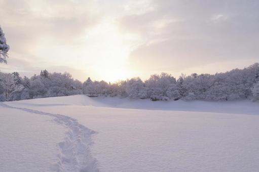 雪景色の朝 雪景色の朝 朝焼け,マジックアワー,スペースの写真素材