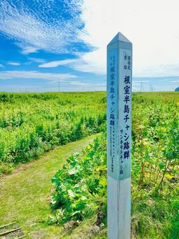 ヲンネモトチャシ ヲンネモトチャシ 北海道,根室市,根室半島の写真素材