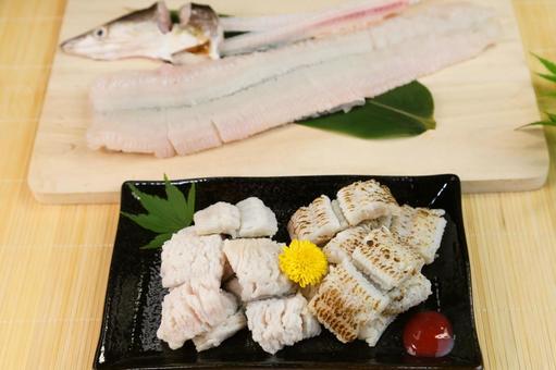 ハモ ハモの写真