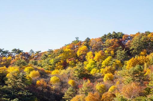 潟沼の秋⑺ 秋,紅葉,黄葉の写真素材
