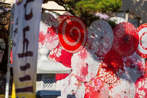 仙台八坂神社(42) 神社,仙台八坂神社,晩秋の写真素材
