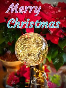 ポインセチアと光のオーブ② クリスマス,花,赤の写真素材