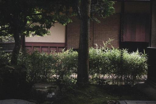詩仙堂のフィルムカメラ風写真 詩仙堂のフィルムカメラ風写真の写真