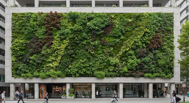 現代都市環境 の緑化 リビングウォール 現代都市環境 の緑化 リビングウォールの写真