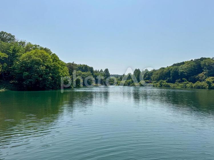宮沢湖 宮沢湖,湖,飯能の写真素材