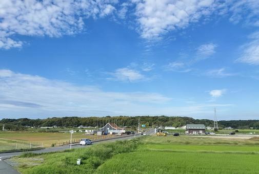 京成線車窓より九月の佐倉ふるさと広場近辺 京成線車窓より九月の佐倉ふるさと広場近辺 佐倉ふるさと広場,田圃,稲作の写真素材