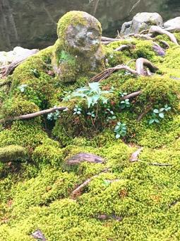 お地蔵さん お地蔵さんの写真