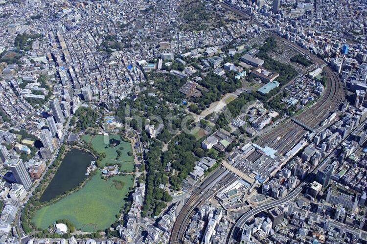 上野恩賜公園全景・空撮 東京,台東区,上野恩賜公園の写真素材