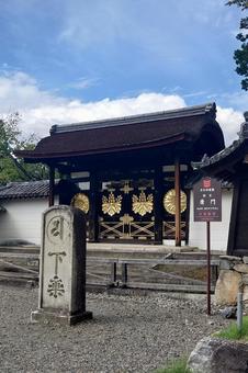 京都府-醍醐寺-三宝院-国宝-唐門 京都府-醍醐寺-三宝院-国宝-唐門の写真