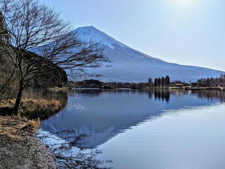 朝日昇る静寂の田貫湖 朝日昇る静寂の田貫湖 富士山,湖,自然の写真素材