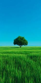 シンプルな美しさ:大自然の息吹 シンプルな美しさ:大自然の息吹の写真