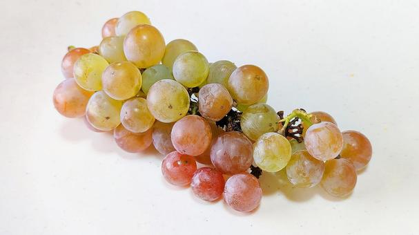 ぶどう-06 ぶどう-06 ブドウ,果物,葡萄の写真素材