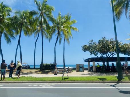 ハワイ通り ハワイ通り 海,ハワイ,ブルーの写真素材