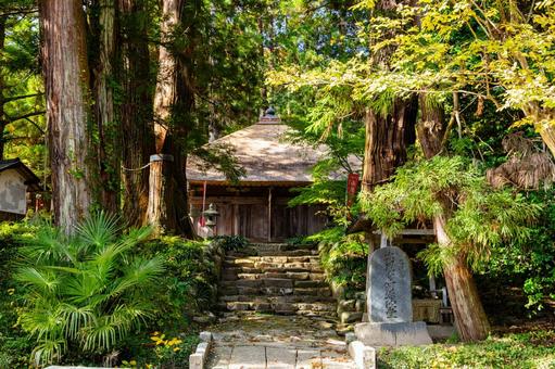 勝楽山高蔵寺阿弥陀堂⑸ 秋,紅葉,勝楽山高蔵寺阿弥陀堂の写真素材
