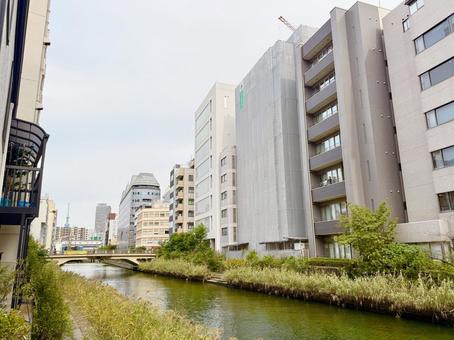亀島川とオフィスビル群とスカイツリー 亀島川,空,スカイラインの写真素材
