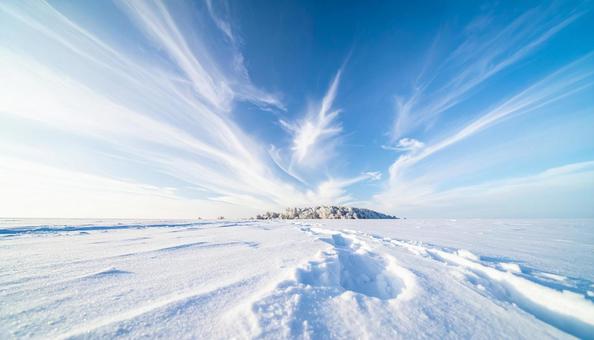 青空と雪 青空と雪の写真