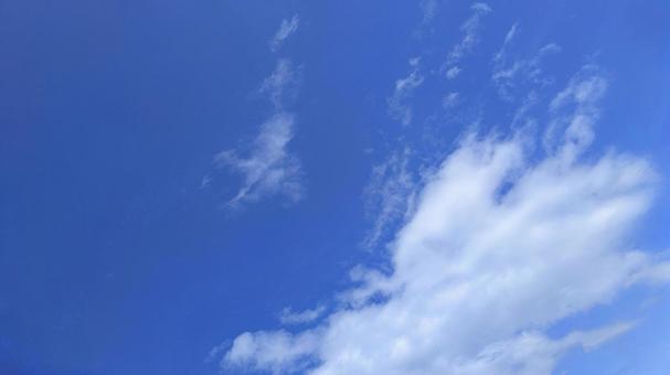 青のキャンバス-70 青のキャンバス-70の写真