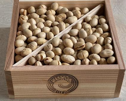 枡入り節分豆 枡入り節分豆 枡入り節分豆,節分,豆まきの写真素材