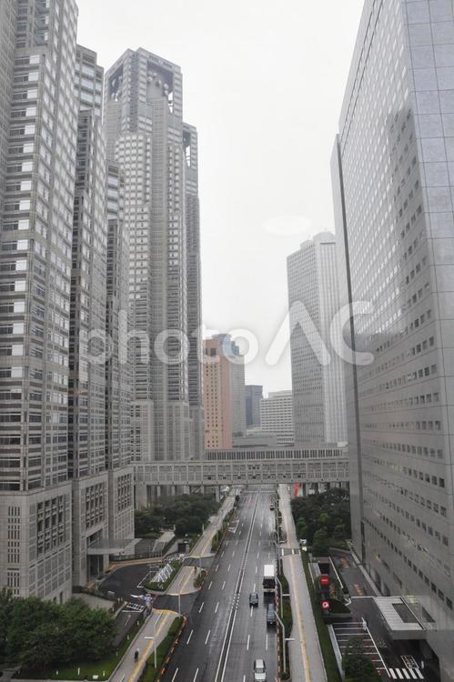 早朝の新宿ビル街 ビル,ビル街,オフィスの写真素材