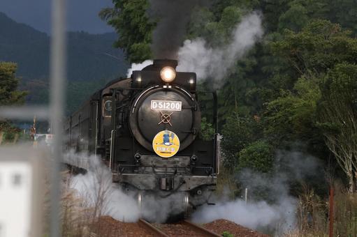 白煙だすデゴイチ d51,デゴイチ,蒸気機関車の写真素材