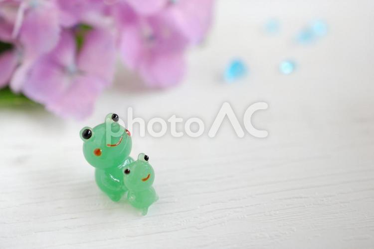梅雨のイメージとアジサイとカエルの親子 あじさい,アジサイ,紫陽花の写真素材