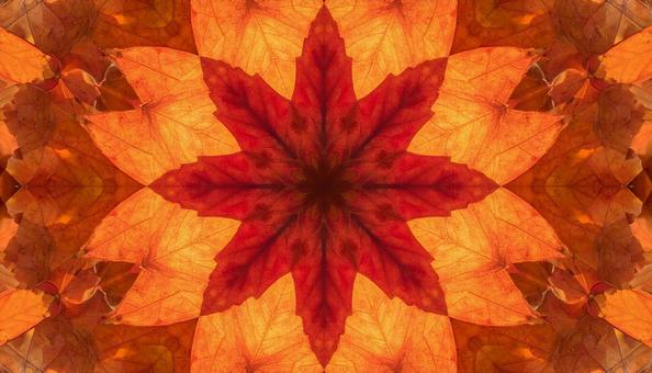 赤とオレンジの紅葉が咲く万華鏡アート 赤とオレンジの紅葉が咲く万華鏡アートの写真