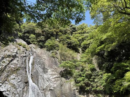 滝 滝の写真