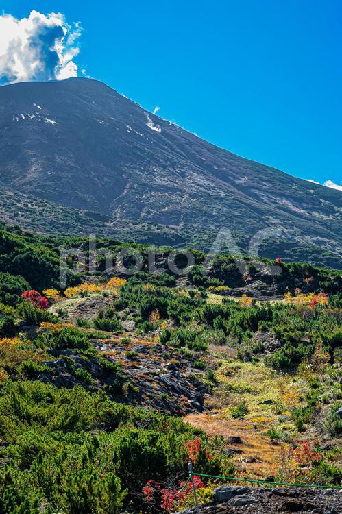 北海道　美瑛　十勝岳望岳台の秋 風景,景色,秋の写真素材