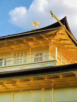 Phoenix at Kinkakuji Temple, JPG