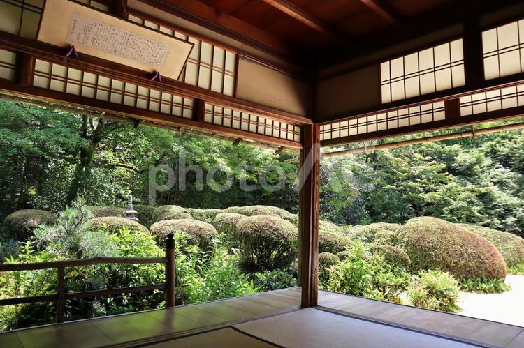 京都　詩仙堂の庭を眺める 京都,詩仙堂,洛北の写真素材
