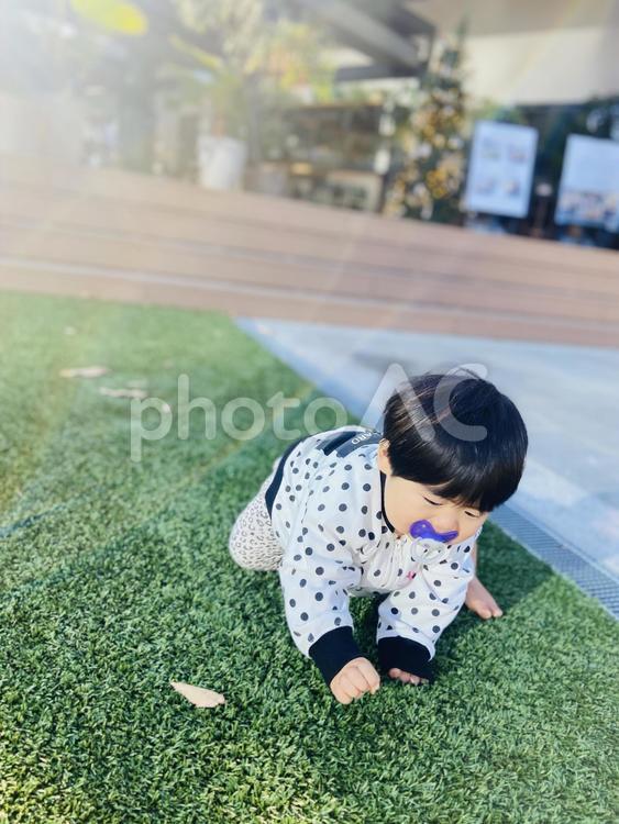 赤ちゃん　ハイハイ 人物,人,赤ちゃんの写真素材