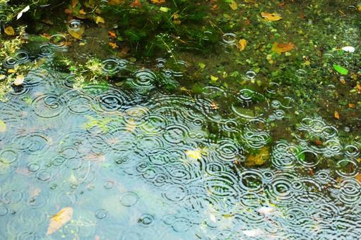 雨の波形3-自然の美 雨の波形3-自然の美の写真