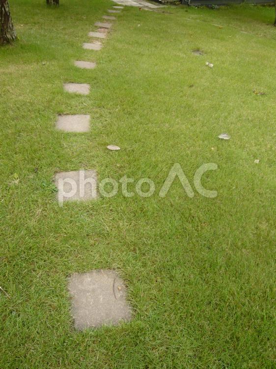 芝生の上の道しるべ 芝生,道,自然の写真素材