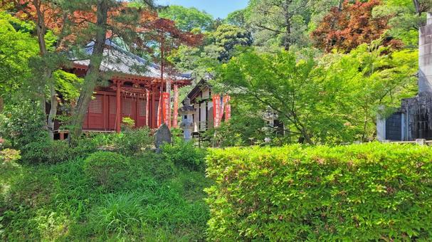 坂東33観音 11番 安楽寺 薬師堂 坂東33観音 11番 安楽寺 薬師堂 安楽寺,岩殿山,薬師堂の写真素材