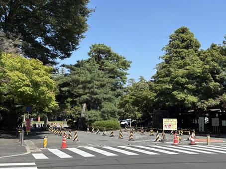 多磨霊園。 多磨霊園。の写真