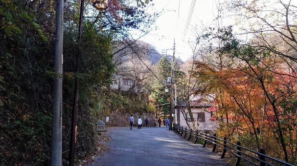伊香保 湯元通り 伊香保 湯元通り 伊香保,伊香保温泉,湯元通りの写真素材