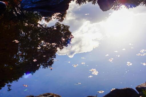 池に反射する青空と雲の写真