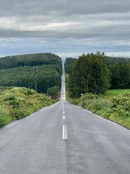 新ジェットコースターの道 新ジェットコースターの道の写真
