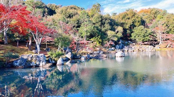 沼 沼の写真