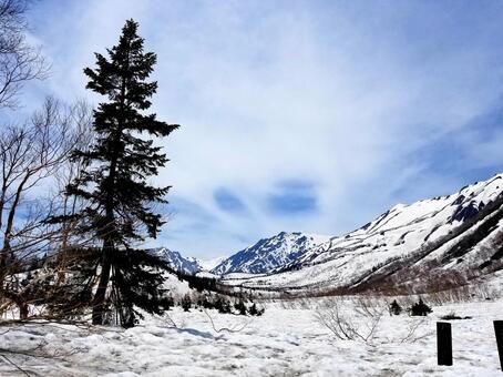 雪景色 雪景色の写真