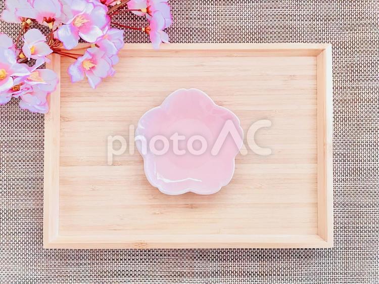 お皿　サクラ サクラ,春,お皿の写真素材