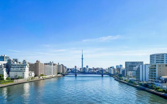 遠くツリーが見える大きな隅田川 遠くツリーが見える大きな隅田川の写真