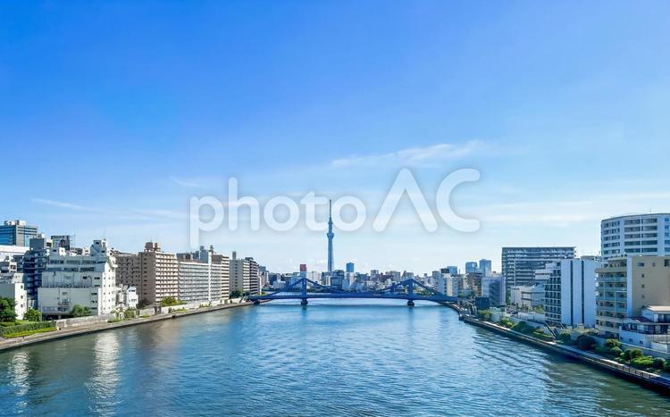 遠くツリーが見える大きな隅田川 清洲橋,隅田川,スカイツリーの写真素材