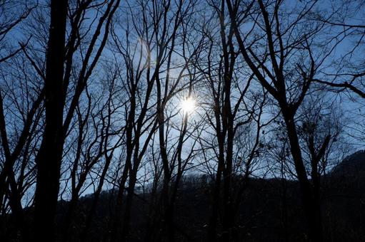 early winter, छाया, प्रारंभिक सर्दियों, सर्दी, JPG