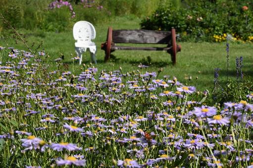 紫竹ガーデンの写真