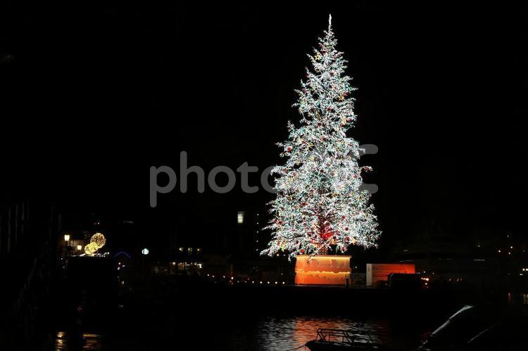 人気がある函館Xmasファンタジー 夜,クリスマス,風景の写真素材