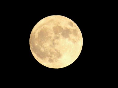 Photo, month, full moon, moonlight, 