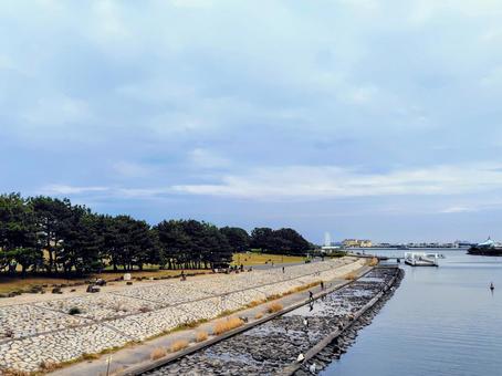 葛西臨海公園 葛西臨海公園,海,空の写真素材